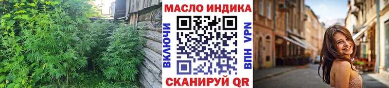 Купить закладки  Мглин  ТГК жижа 