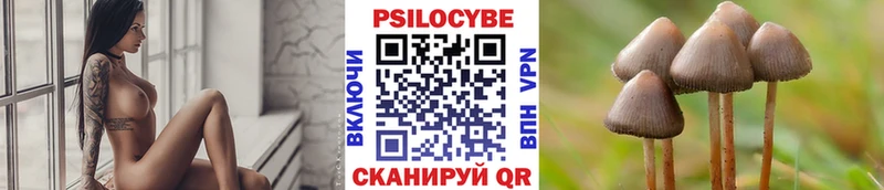 Псилоцибиновые грибы прущие грибы Купить где Мглин