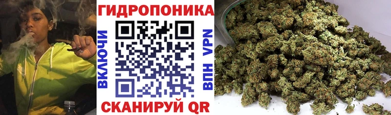 Купить закладки  Мглин  Конопля AK-47 